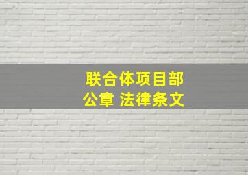 联合体项目部公章 法律条文